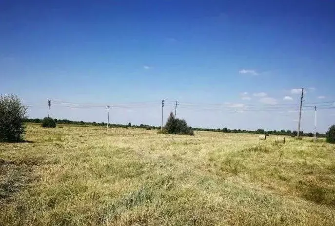 Участок в Краснодарский край, Анапа муниципальный округ, с. ... - Фото 1