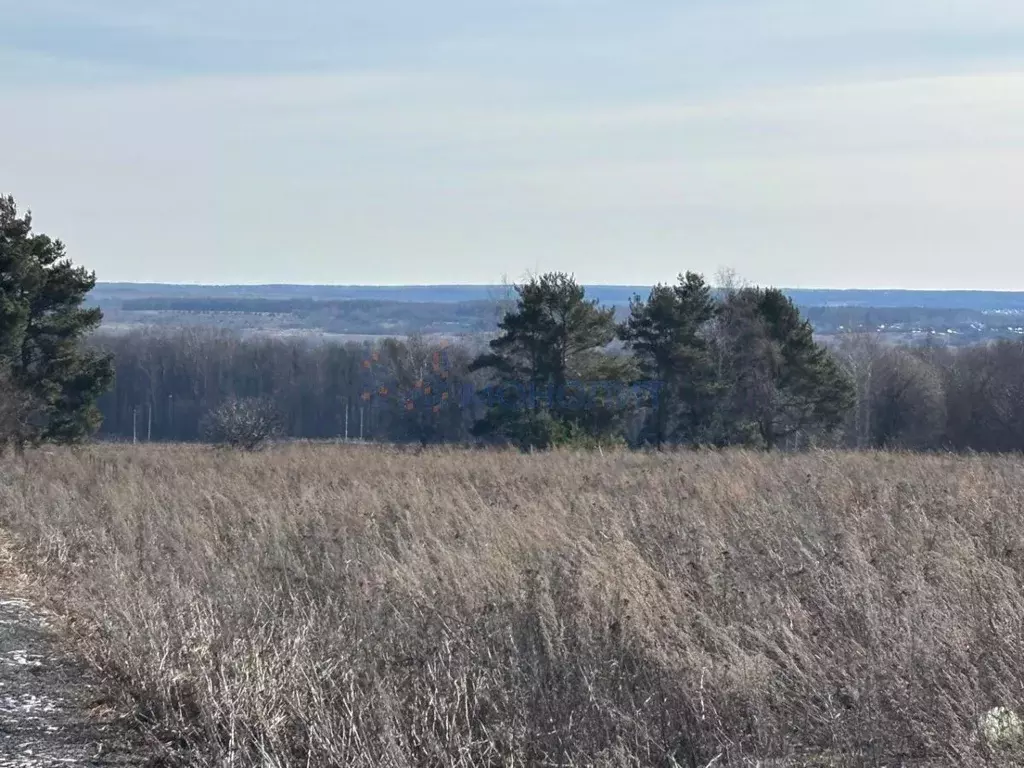 Участок в Нижегородская область, Богородский муниципальный округ, с. ... - Фото 2