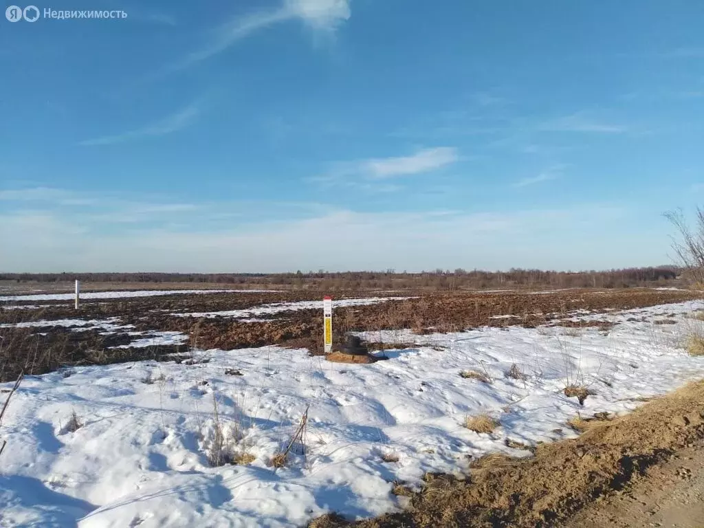 Участок в Ярославская область, Борисоглебский муниципальный округ, ... - Фото 1