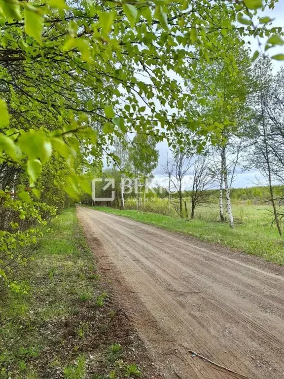 Участок в Ярославская область, Ярославский район, Заволжское с/пос, д. ... - Фото 1