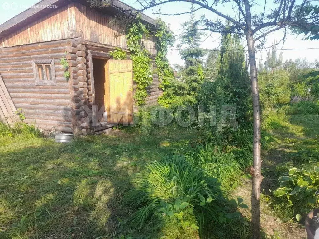 Дом в Новосибирск, СНТ Труд-2 (24 м) - Фото 0