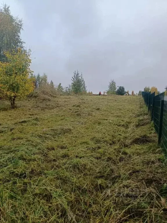Участок в Московская область, Дмитровский муниципальный округ, д. ... - Фото 2