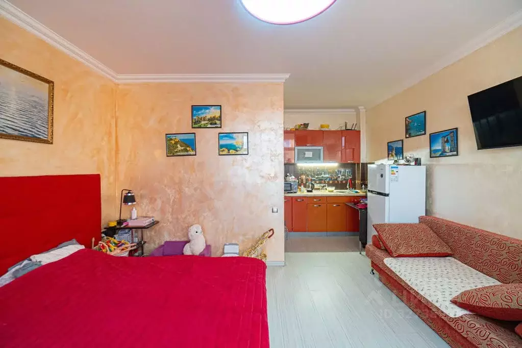 1-к кв. Севастополь ш. Фиолентовское, 134к1 (25.0 м) - Фото 1