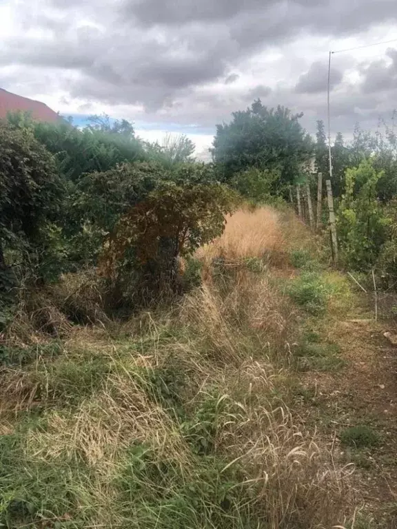 Участок в Крым, Сакский район, Новофедоровка пгт пер. Строительный ... - Фото 1