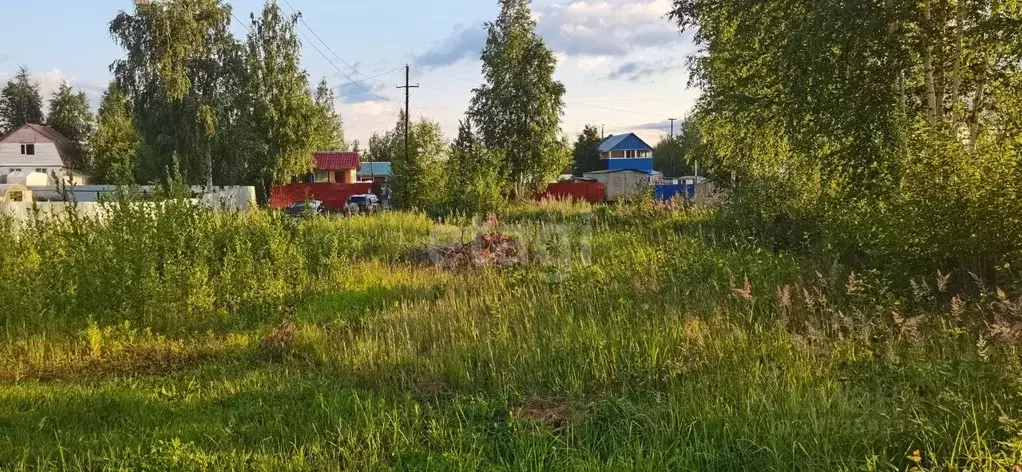 Участок в Ханты-Мансийский АО, Мегион Черемушки СОНТ,  (12.0 сот.) - Фото 0