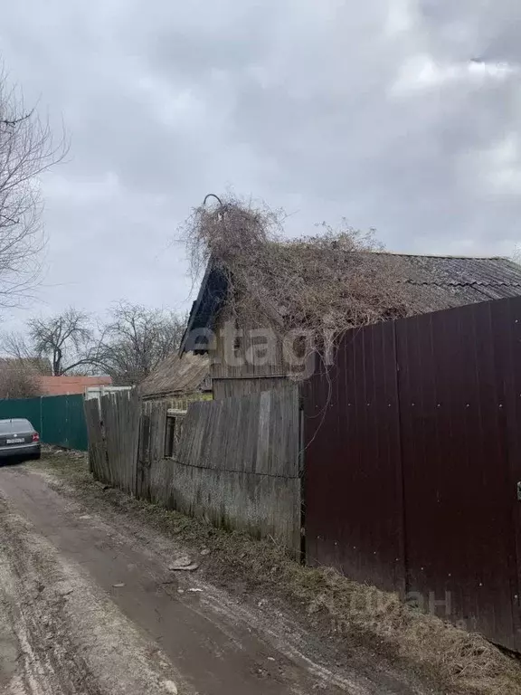 Участок в Брянская область, Брянск Дружба садовое общество, ул. ... - Фото 0