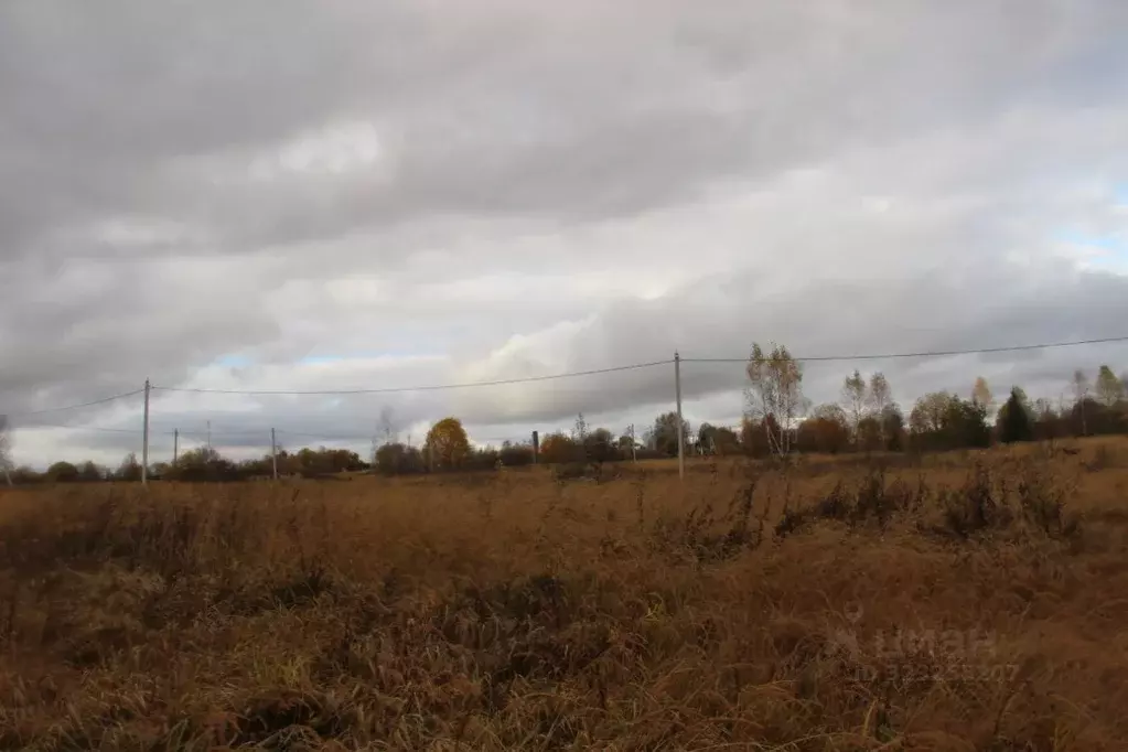 Участок в Московская область, Шаховская муниципальный округ, д. ... - Фото 1