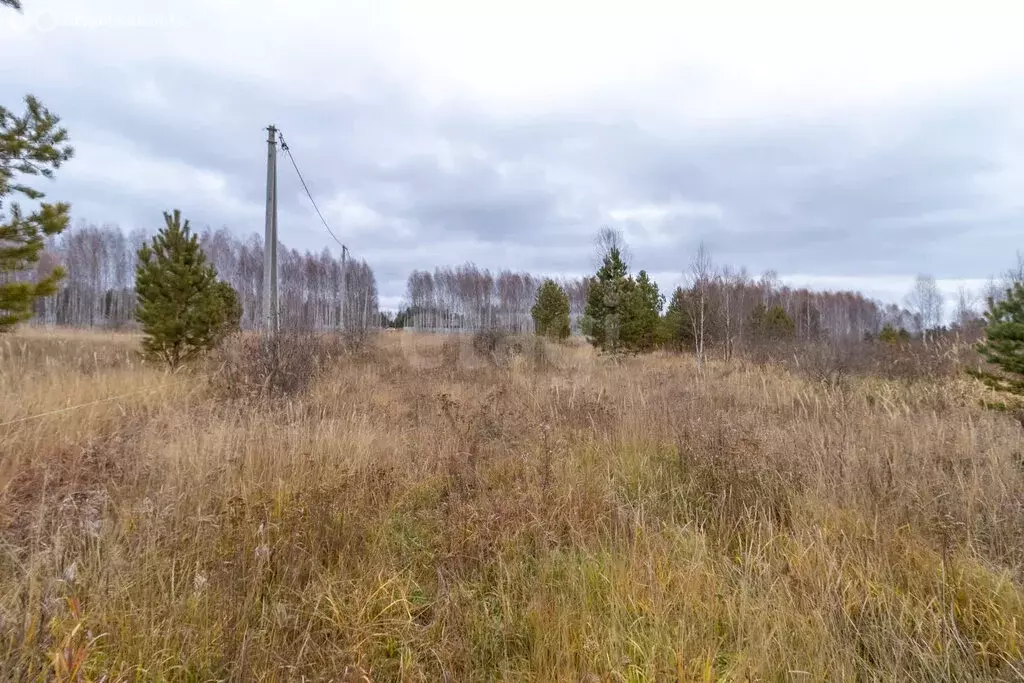 Участок в Нижнетавдинский район, садоводческое некоммерческое ... - Фото 1