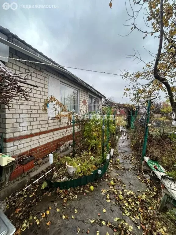 Дом в Воронежская область, Борисоглебск (76 м) - Фото 2