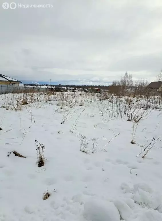 Участок в Нижегородская область, городской округ Арзамас, деревня ... - Фото 0