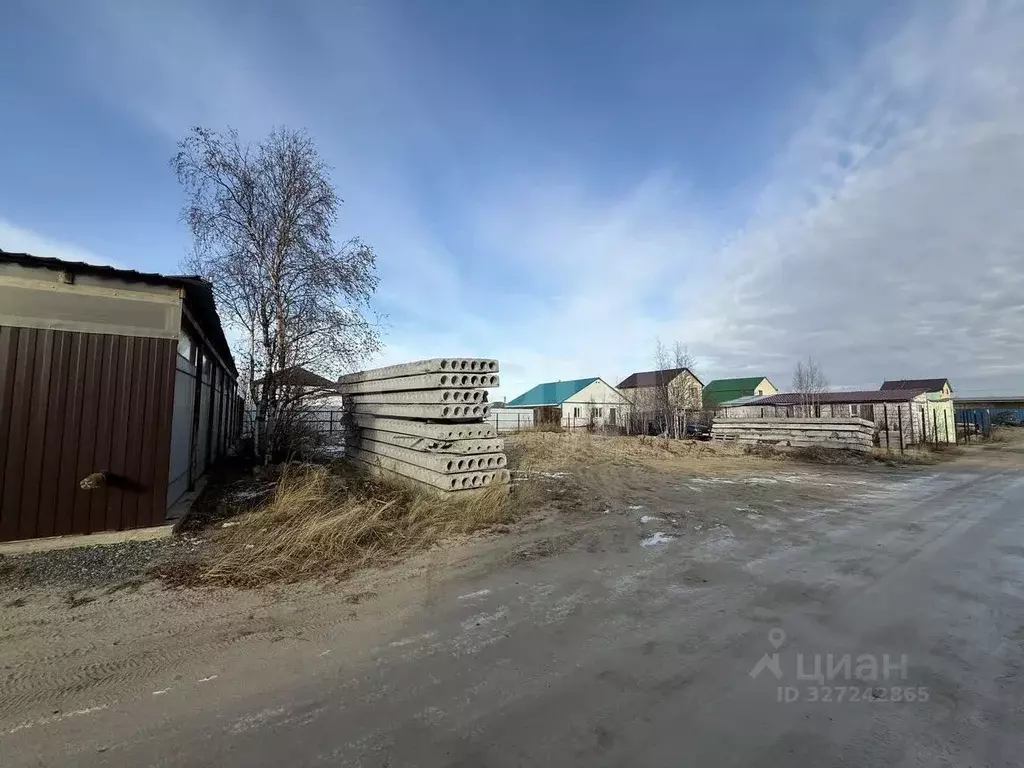 Участок в Ямало-Ненецкий АО, Новый Уренгой Фемида СНТ, ул. 1-я ... - Фото 2