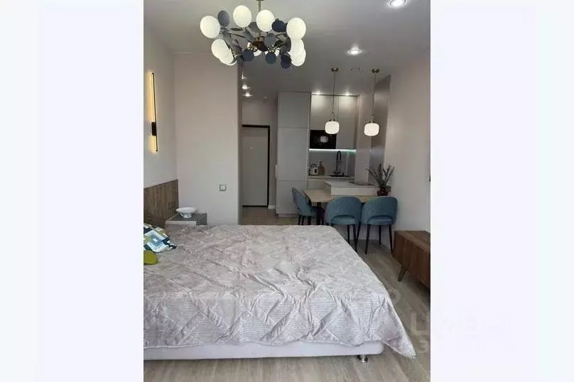 1-к кв. Краснодарский край, Сочи ул. Искры, 66/9к7 (25.0 м) - Фото 1