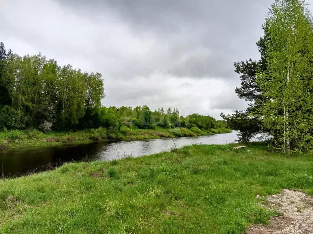 Дом в Псковская область, Островский район, Бережанская волость, д. ... - Фото 1