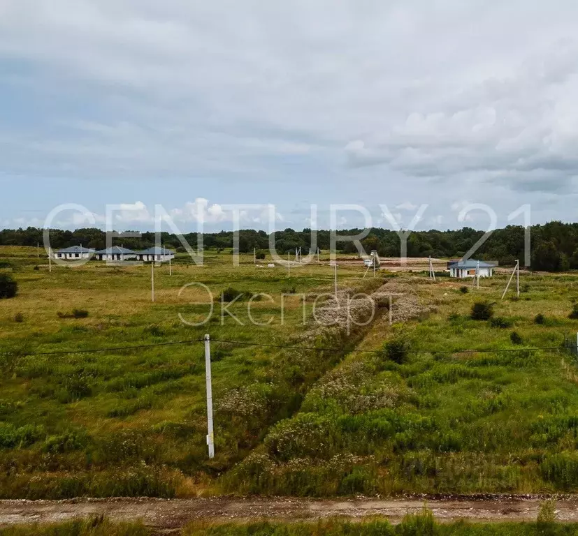 Участок в Калининградская область, Зеленоградский муниципальный округ, ... - Фото 2