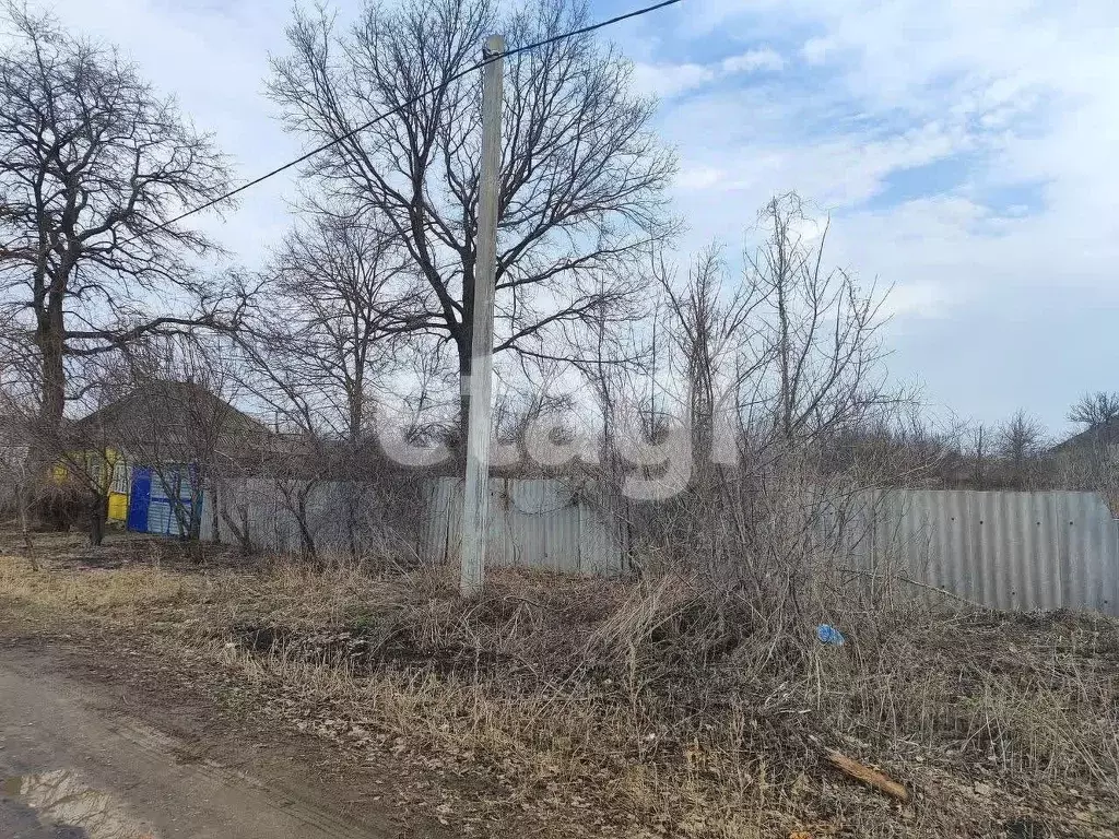 Участок в Белгородская область, Алексеевский муниципальный округ, с. ... - Фото 1