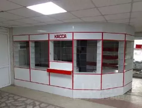 Помещение свободного назначения в Белгородская область, Старый Оскол ... - Фото 2