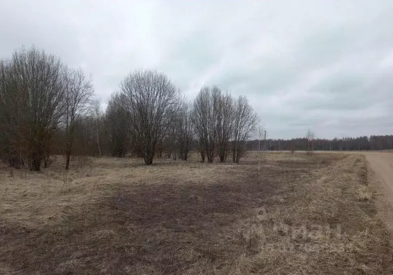 Участок в Московская область, Дмитровский муниципальный округ, д. ... - Фото 0