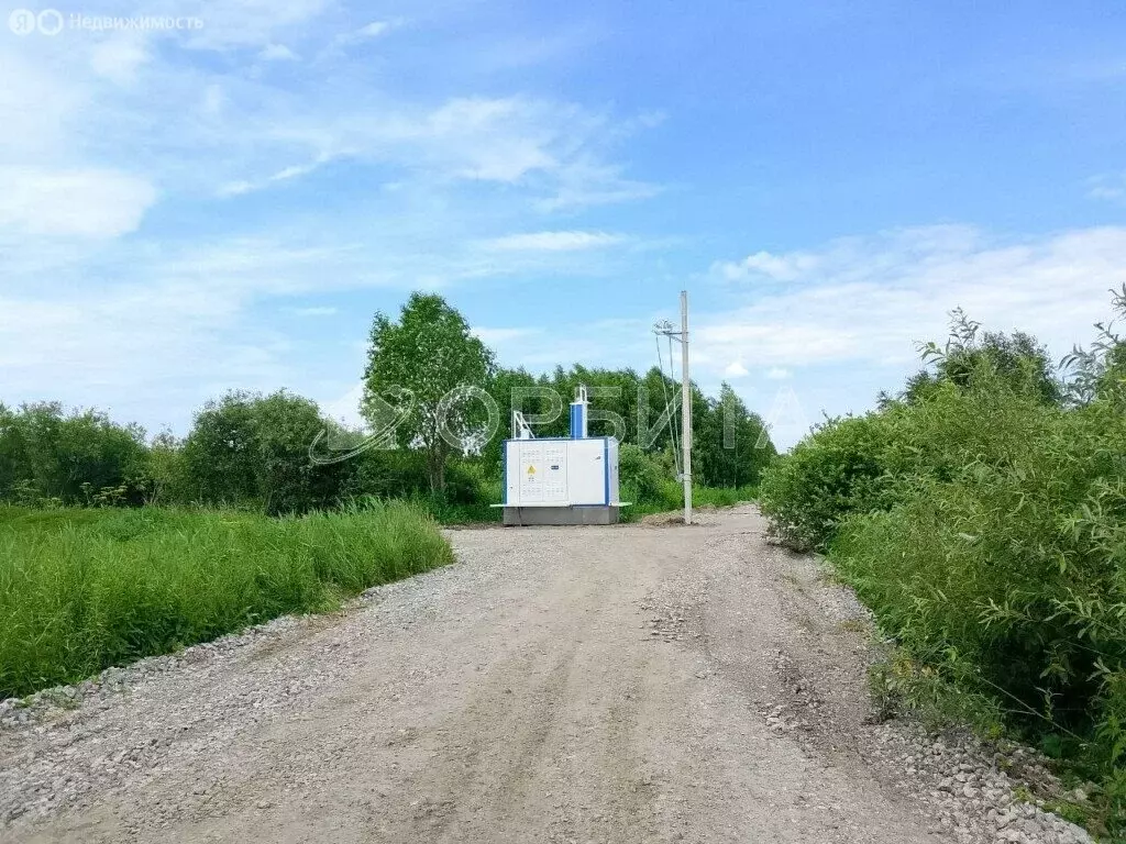 Участок в Тюмень, территория СОСН Берёзка-3 (10 м) - Фото 1