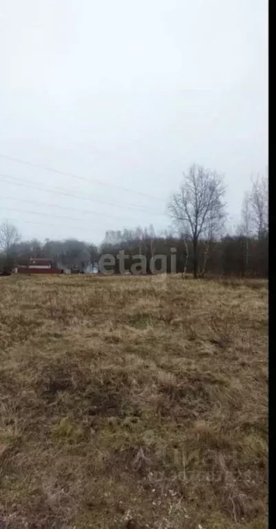 Участок в Калининградская область, Балтийск Залив-2 ТСН, проезд ... - Фото 1