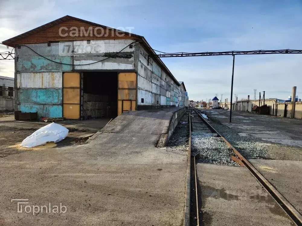 Склад в Алтайский край, Барнаул ул. Малахова, 1Ж (6500 м) - Фото 2