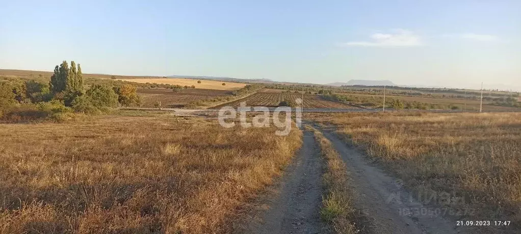 Участок в Крым, Симферопольский район, с. Мазанка ул. Ясная, 14 (12.0 ... - Фото 1