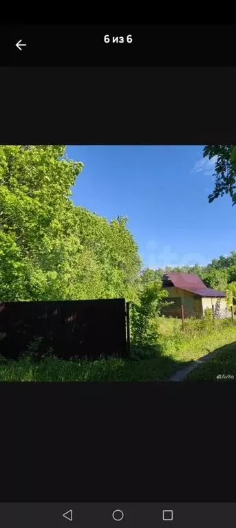 Участок 6,5 сот. (СНТ, ДНП) - Фото 1
