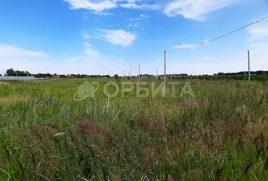 Участок в Тюменская область, Тюменский район, с. Борки  (100.27 сот.) - Фото 0