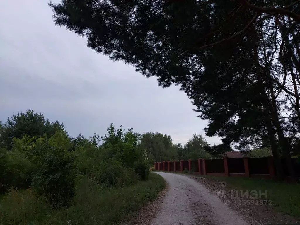 Участок в Московская область, Коломна городской округ, с. Нижнее ... - Фото 1