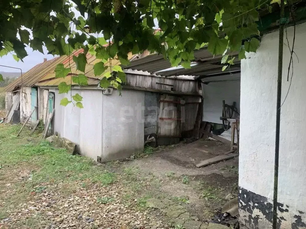 Дом в Белгородская область, Ровеньский район, с. Новоалександровка ул. ... - Фото 1