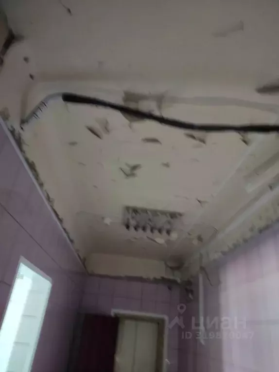 Помещение свободного назначения в Омская область, Омск ул. 2-я ... - Фото 1
