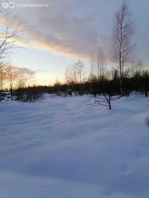 Участок в Ермолинское сельское поселение (1595 м) - Фото 1