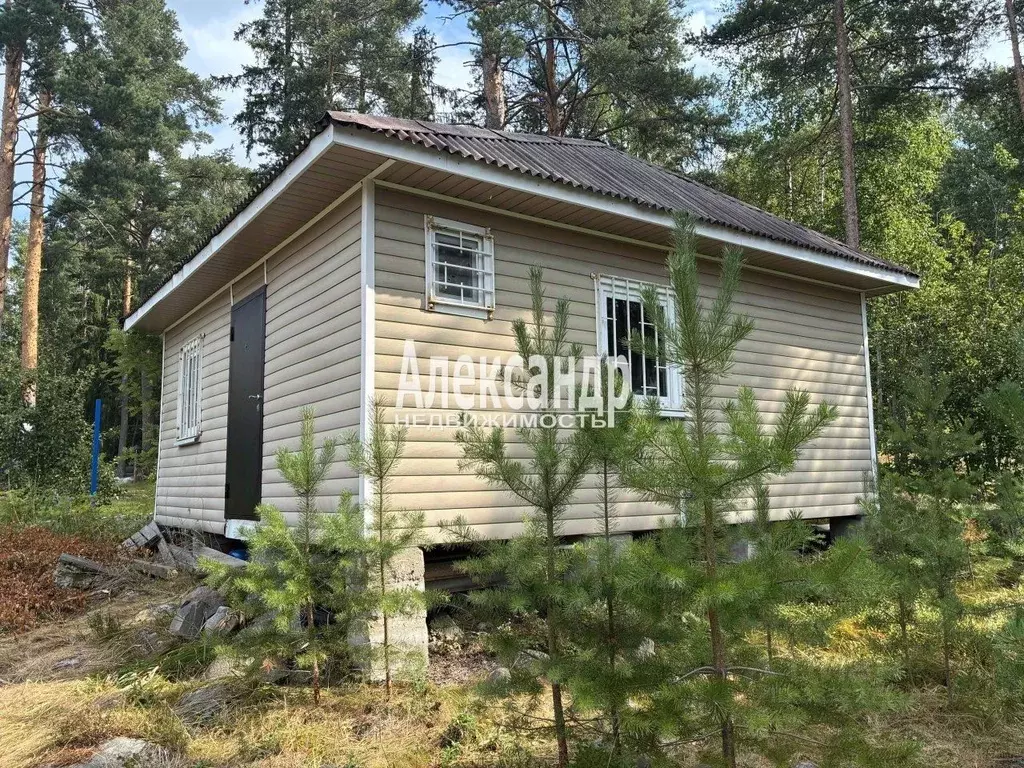 Участок в Ленинградская область, Приозерский район, Ларионовское ... - Фото 1