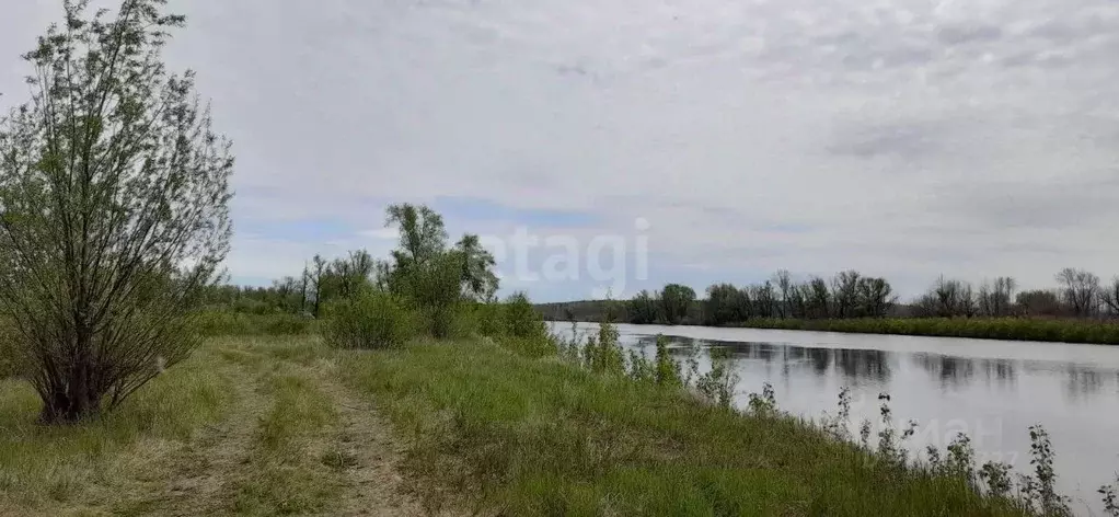 Участок в Тюменская область, Тюменский район, с. Борки  (20.0 сот.) - Фото 1