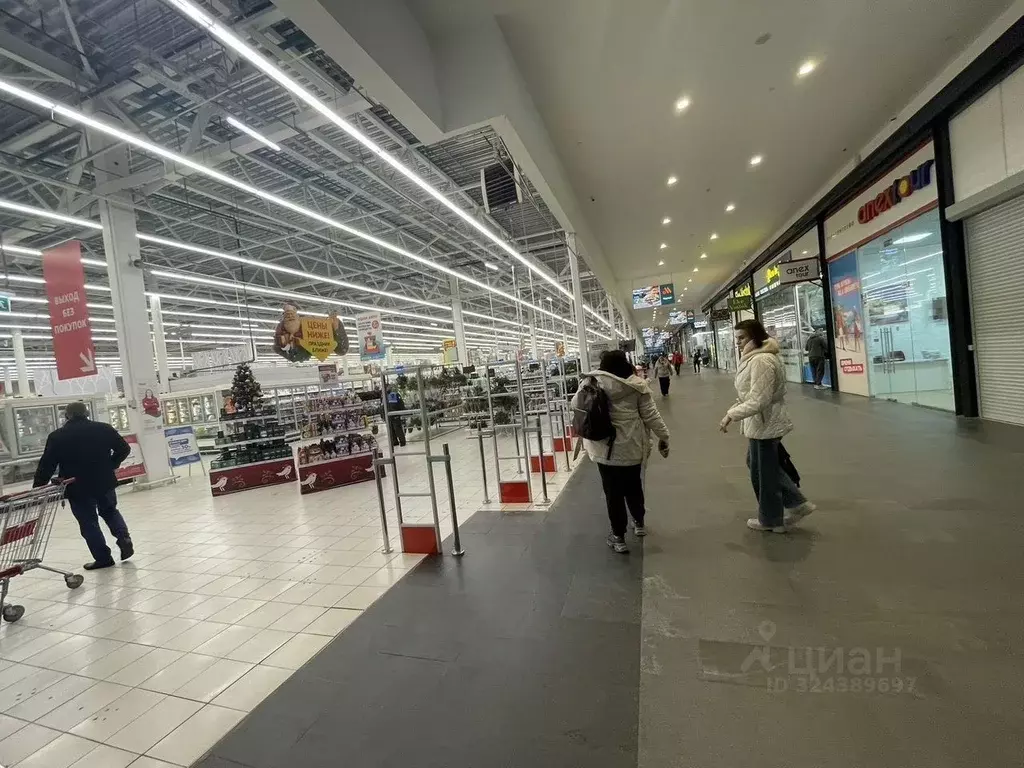 Торговая площадь в Московская область, Солнечногорск городской округ, ... - Фото 2