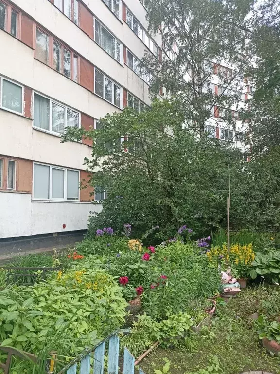 1-к кв. Санкт-Петербург просп. Художников, 24К3 (32.3 м) - Фото 1