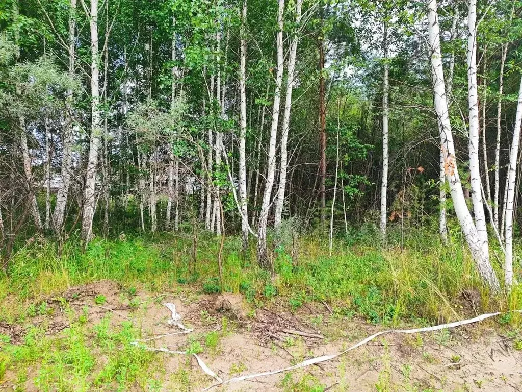 Участок в Иркутская область, Усольский район, Еланское СТ  (8.0 сот.) - Фото 1