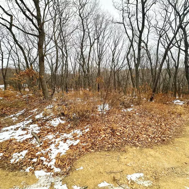 Участок в Приморский край, Находка пос. Врангель,  (54.0 сот.) - Фото 2