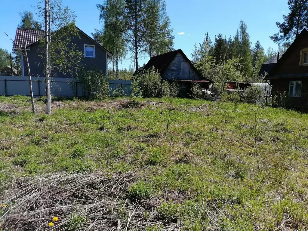 Участок в Ленинградская область, Гатчинский район, Ухта садоводческий ... - Фото 0