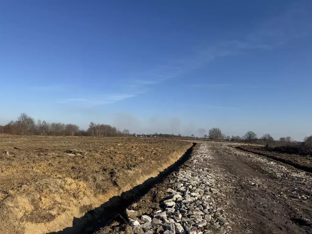 Участок в Калининградская область, Гурьевский муниципальный округ, ... - Фото 1