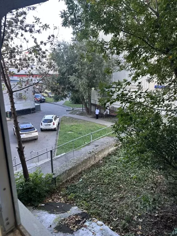 Помещение свободного назначения в Москва Чертановская ул., 45К1 (235 ... - Фото 1