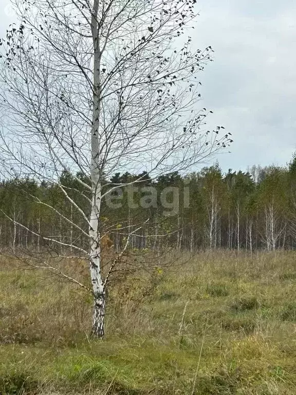 Участок в Санниковский сельсовет (8 м) - Фото 0