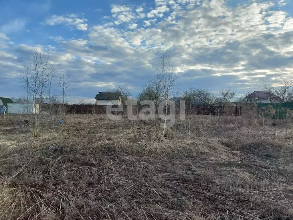 Участок в Брянская область, Брянский район, Добрунское с/пос, д. ... - Фото 1