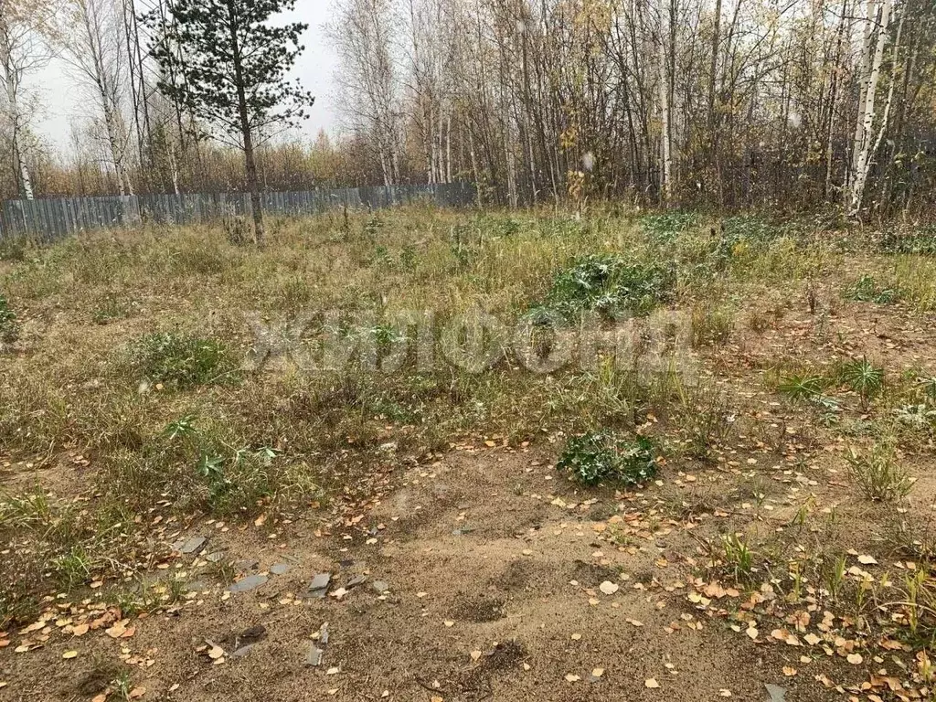 Участок в Ханты-Мансийский АО, Нефтеюганского муниципального района ... - Фото 2