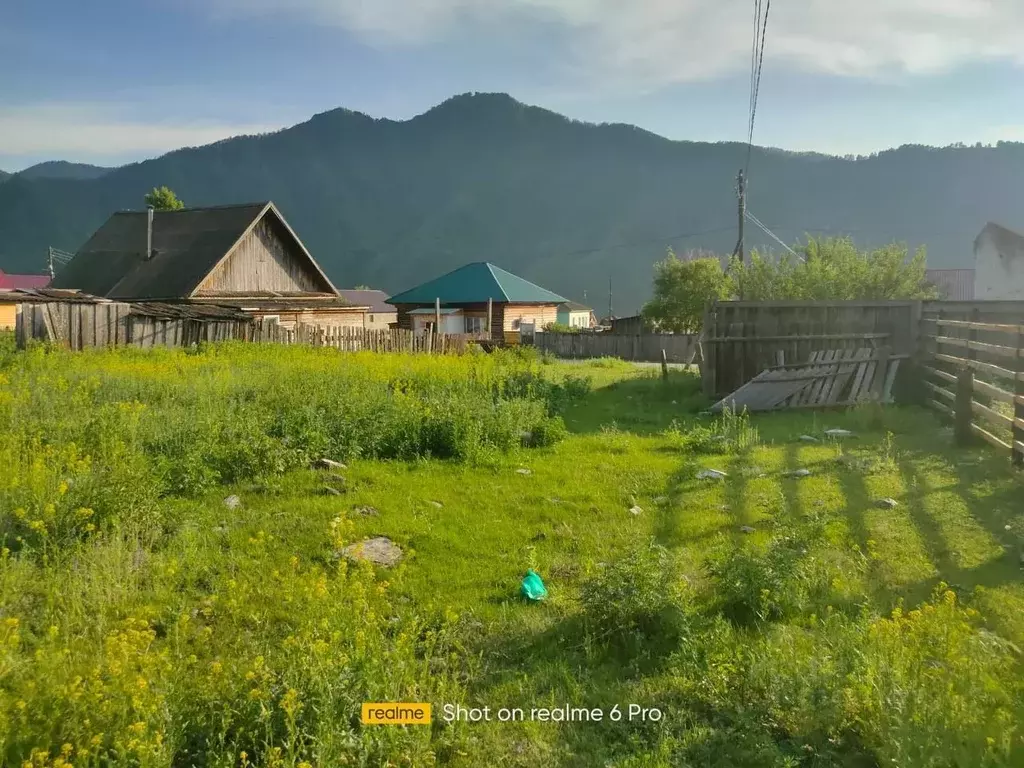Участок в Алтай, Чемальский район, с. Куюс Центральная ул. (12.89 ... - Фото 0