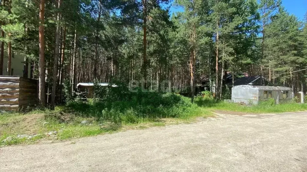 Участок в Новосибирская область, Новосибирский район, Кудряшовский дп ... - Фото 0