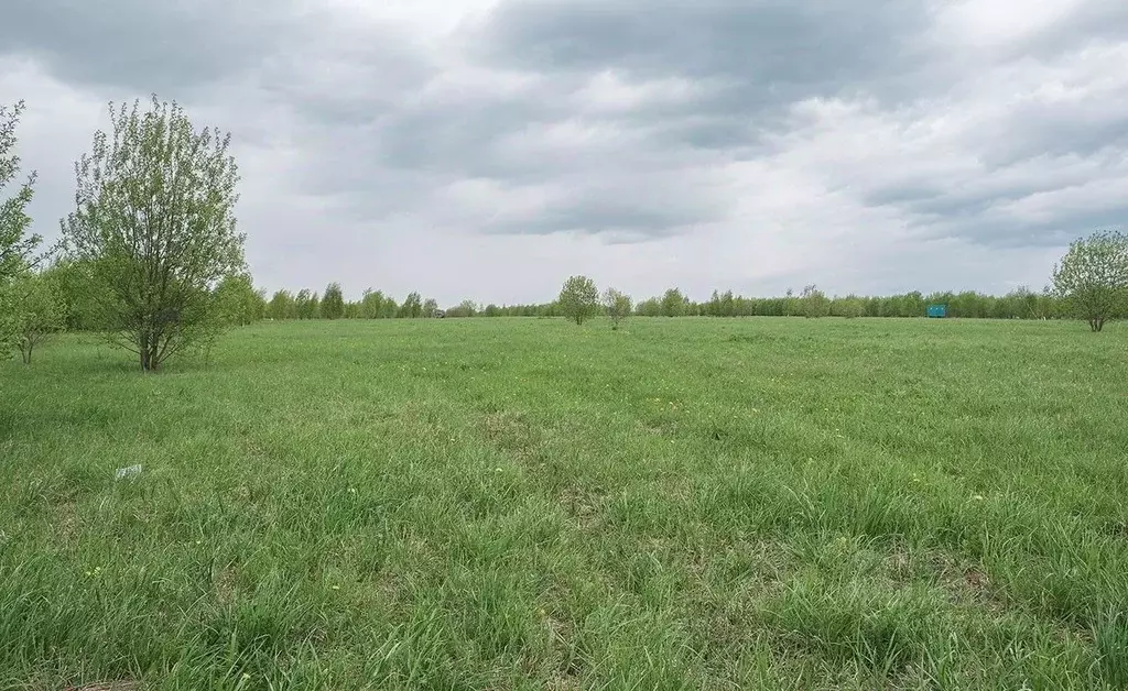 Участок в Московская область, Чехов городской округ, Южные Озера кп  ... - Фото 0