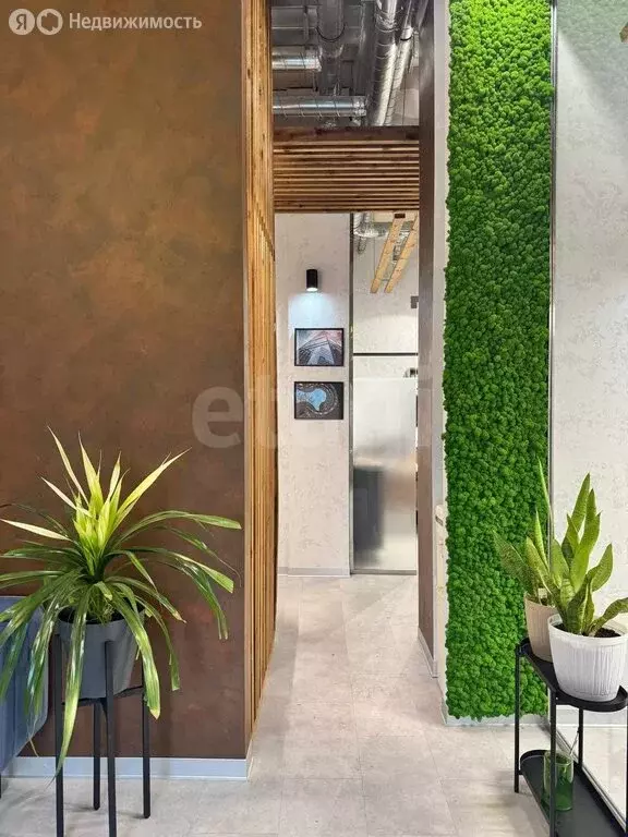 Офис (81.3 м) - Фото 2