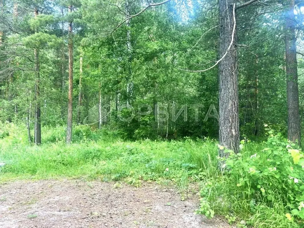 Участок в Тюменская область, Нижнетавдинский район, с. Тюнево ул. ... - Фото 0