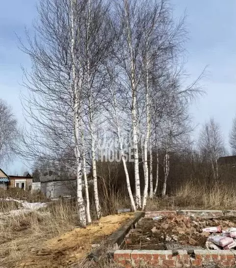 Участок 5,8 сот. (СНТ, ДНП) - Фото 1