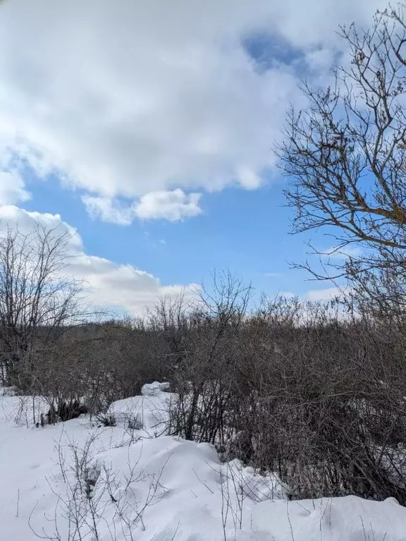 Участок в Самарская область, Кинель НГЧ-5 СДТ,  (7.83 сот.) - Фото 1